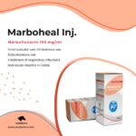 Marboheal - Image 2