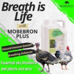 موبيبرون بلص - الصورة 2