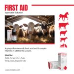 FIRST AID - Image 3