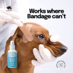 BSF Spray (for Dogs and Cats) - Image 3
