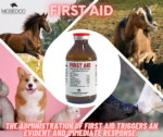 FIRST AID - Image 2