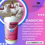 Danocin wsp - Image 2