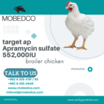 ⁦TARGET- AP  WSP⁩ - الصورة ⁦4⁩