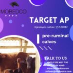 ⁦TARGET- AP  WSP⁩ - الصورة ⁦3⁩