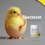 Spectovet - Image 2