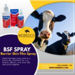 BSF Spray - Image 2